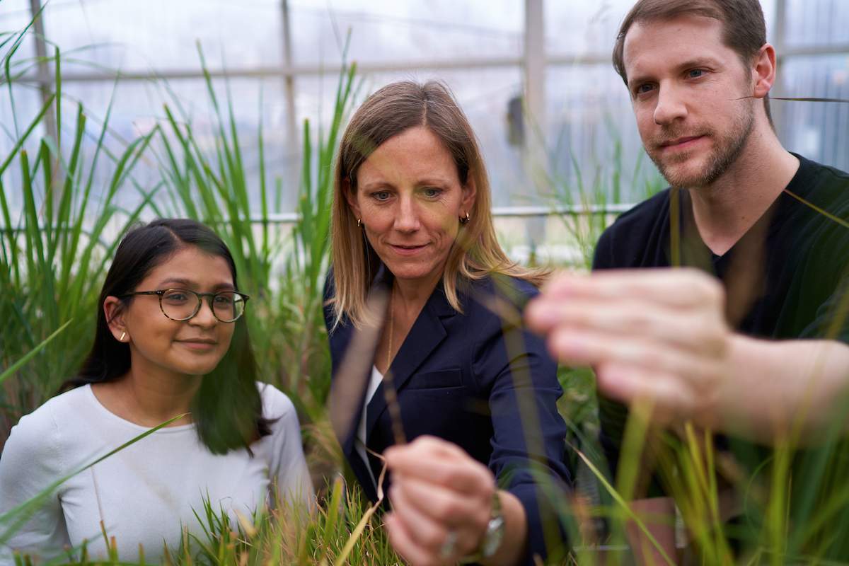 (c) Danforthcenter.org