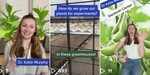 Newswise: Katie Murphy Is Inspiring the Next Generation of Plant Scientists Through TikTok
